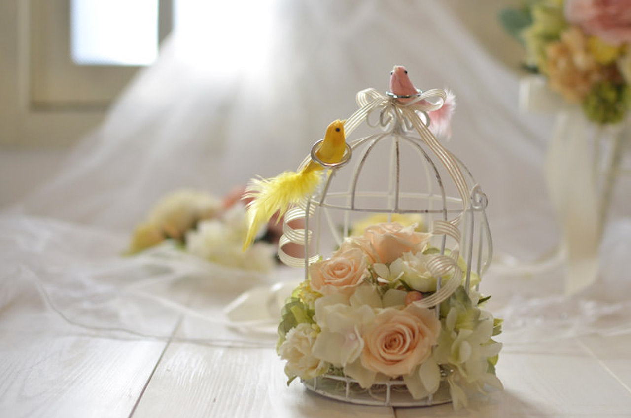 鳥かごのリングピロー・マリーホワイト